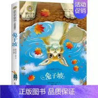兔子坡 [正版]爱德华的奇妙之旅国际大奖小说全套纽伯瑞儿童文学奖班主任三四五六年级小学生课外阅读书籍新蕾出版社外国小说畅