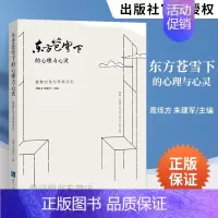 [正版]方苍穹下的心理与心灵 意象对话与传统文化 周烁方 朱建军 著 对广泛存在的文化现象的心理动力的研究 心理咨询从