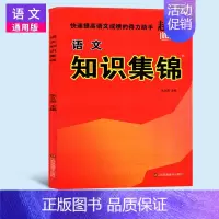 [正版] 语文知识集锦 快速提高语文成绩的得力助 超能学典 小学语文教学参考资料 学生辅导语文知识大全 江苏凤凰 福