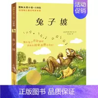 兔子坡 [正版]注音版了不起的狐狸爸爸罗尔德达尔作品典藏6-7-8-9-10岁儿童文学读物一二三年级小学生课外阅读必读书