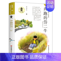 奔跑的岱二牛 [正版]黄蓓佳倾情小说系列15册任选 6-7-9-10-12岁三四五六年级课外阅读书籍儿童文学读物童书