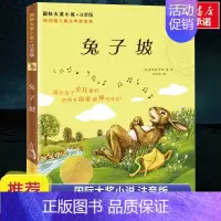 兔子坡注音版 [正版]兔子坡注音版二年级/ 大奖小说 6-7-8-9-10-12岁一二三四年级小学生课外阅读物图书 儿童