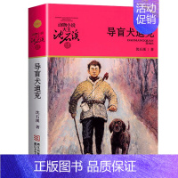 导盲犬迪克 [正版]狼王梦沈石溪动物小说全套36册8-10-12周岁儿童文学读物三四五六年级小学生课外阅读书籍必读书目寒