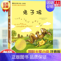 兔子坡 [正版]火鞋与风鞋 乌苏拉·韦尔芙尔乌鸦系列非注音版小学生8-9-10-12岁二三四五年级课外阅读彩语文读物儿童