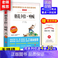 朝花夕拾呐喊[送考点手册] [正版]木偶奇遇记匹诺曹故事书 天地出版社三四五年级课外书必读完整版意大利科洛迪著老师阅读人