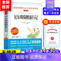 尼尔斯骑鹅旅行记[送考点手册] [正版]木偶奇遇记匹诺曹故事书 天地出版社三四五年级课外书必读完整版意大利科洛迪著老师阅