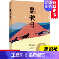 黑骏马 [正版]黑骏马 中文分级阅读K4 亲近母语系列 9-10岁亲近母语系列儿童文学 四年级小学生课外阅读书籍必读经典