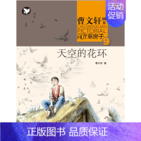 天空的花环 [正版]全套9册 草房子原著完整版 曹文轩系列儿童文学获奖作品 6-9-12岁三年级四五六年级小学生课外阅读