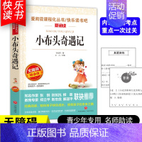 [五年级选读]小布头奇遇记 [正版]四大名著小学生版全套4册 西游记原著快乐读书吧五年级下册课外书阅读老师青少年儿童三国