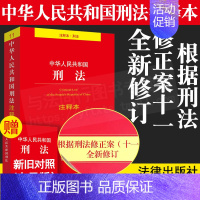 [正版]2023年刑法典刑法注释本 根据刑法修正案十一 全新修订 中华人民共和国刑法 刑法学司法解释法律法规刑基础知识书