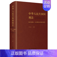 [正版]2021新书 中华人民共和国刑法条文说明理由及相关规定 王爱立 刑法规定法条注释读本修改要点参考用书 北