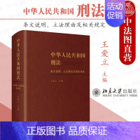 [正版]中法图 2021新中华人民共和国刑法条文说明理由及相关规定 王爱立 北京大学 新刑法规定法条注释读本修改