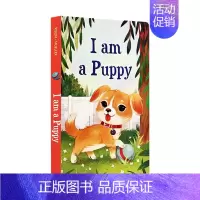 我是一只小狗 I am a Puppy [正版]我是一只兔子I am a bunny英文原版绘本 5册纸板书合售 Ric