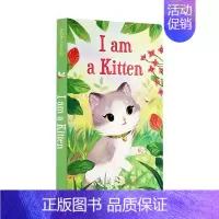 我是一只小猫 I am a Kitten [正版]我是一只兔子I am a bunny英文原版绘本 5册纸板书合售 Ri