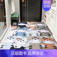 KT猫 60*90厘米优惠冲量 [正版]免洗PVC地毯地垫家用客厅入户进门口门垫过道门厅玄关脚垫可裁剪