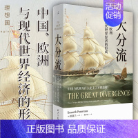 [正版] 大分流 中国、欧洲与现代世界经济的形成 全新译本 彭慕兰 费正清奖得主探索现代世界经济和世界体系的起源书籍