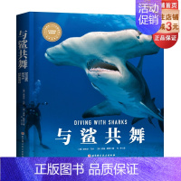[正版]与鲨共舞 “博物君”张辰亮、PADI奈杰尔·马什 安迪·默奇 鲨鱼潜水北京科学技术出版社