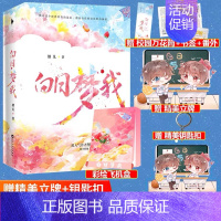 [正版]24h彩绘飞机盒发货 赠立牌+钥匙扣+校园万花筒书签 白日梦我 庄达菲&周翊然主演原著小说 栖见实体全套校园