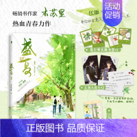 [正版]印特签盛夏:序章 书作家 木苏里 热血青春力作高口碑校园文白月光双学霸江添×盛望青春言情都市小说磨铁图书