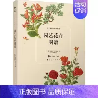 [正版]园艺花卉图谱 (英)爱德华·斯特普(Edward Step) 著;铃兰图书 编译 书籍 书店 中国青年出版社