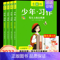 [全4册赠4本手账本] 意林少年习作 [正版]意林少年习作2023年意林少年版意林小学生版意林18周年纪念版中考