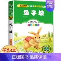 兔子坡 [正版]老师小巴掌童话注音版张秋生一年级二年级必读经典彩图小巴掌童话百篇