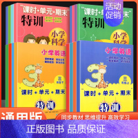 英语 四年级下 [正版]小学科学课时+单元+期末特训一二三四五六年级上下册可选教科版小学生课堂同步训练课时作业本单元12