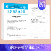 数学(人教版) 四年级上 [正版]2022新版活页卷期末卷三年级上册四年级五六年级语文数学英语人教版苏教北师大小学同步训