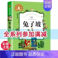 [分册名]兔子坡 [正版][4本24元]安徒生童话注音版小学一二年级阅读书故事书彩图课外阅读老书籍儿童读物6-10岁儿童