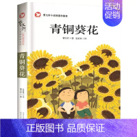 青铜葵花 [正版]送手册张天翼宝葫芦的秘密三四年级下册小学生课外阅读书籍老师必读天地出版社三国演义鲁滨逊漂流记水浒传城南