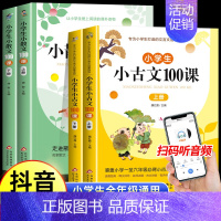 [4册]小散文100课+小古文100课 小学通用 [正版]小学生小散文100课上下册小古文100课升级版小学语文经典读本