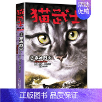 猫武士首部曲2:寒冰烈火 [正版]猫武士首部曲全套6册部曲呼唤野性寒冰烈火疑云重重风起云涌/险路惊魂力挽狂澜动物故事小说