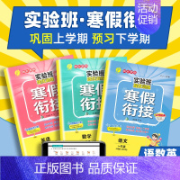 [人教版]数学 小学二年级 [正版]2023实验班提优训练寒假衔接一二三四五六年级上册语文数学英语人教版苏教北师大译林版