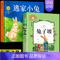 [全2册]逃家小兔+兔子坡 [正版]硬壳逃家小兔注音版一二年级老师阅读儿童绘本故事书3一6 岁大班小班幼儿园4-5岁宝宝