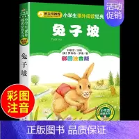 [彩图注音版]兔子坡 [正版]小狐狸买手套彩图注音版小学生课外阅读书籍一年级二年级三年级上册下必读的课外书老师故事书幼儿