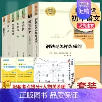 全套7本]八下钢铁&傅雷+九上下水浒&艾青&简爱&儒林 [正版]钢铁是怎样炼成的人民教育出版社初中原著完整版无删减八年级