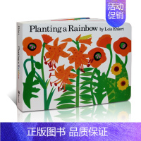 [正版]送音频英文原版绘本 Planting a Rainbow 播种彩虹纸板书 提高激发宝宝想象力Lois Ehle