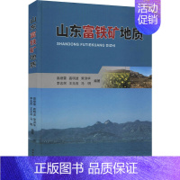 [正版]山东富铁矿地质 高继雷 等 编 地球物理学专业科技 书店图书籍 中国地质大学出版社