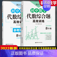 八年级代数专项训练 初中通用 [正版]周计划初中数学计算题几何代数综合题中考压轴题高效训练 七7八8九9年级人教版必刷题