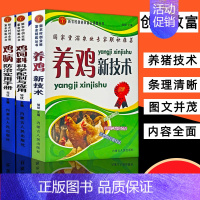 [正版]全3册高效养鸡系列养鸡书籍大全技术书常见病防治实用手册鸡饲料科学配制与应用饲料配方大全养鸡新技术畜牧养殖鸡病鉴