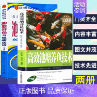 [正版]2册高效池塘养鱼技术与鱼病防治诊断及治疗科学生态养鱼淡水鱼类水产养殖技术书籍大全繁育饲养管理教程饲料配方池塘网