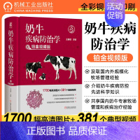 [正版]奶牛疾病防治学 铂金视频版 王春璈 分娩 接产规程 犊牛饲养管理 免疫球蛋白测定 修蹄 体况评分 驱虫 繁育