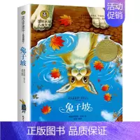 兔子坡 [正版]兔子坡二三四年级课外书阅读经典书目国际大奖小说儿童文学书8-10岁小学生课外阅读书籍非注音故事书