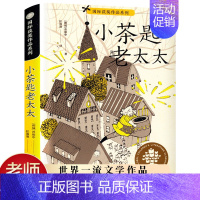 [正版]小茶匙老太太 国际获奖作品系列 全球儿童文学典藏书名师指导三年级课外阅读书目小学生必读课外书籍阅读少儿读物童话