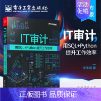 [正版] IT审计:用SQL+Python提升工作效率 数据可视化技巧图书籍 Python基础与Python实战技巧