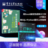 [正版]全2本审计效率手册:用Excel高效完成审计工作+IT审计 用SQL+Python提升工作效率 SQL基础实战