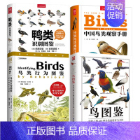 4册 鸟图鉴+鸟类行为图鉴:野外观鸟大师课+中国鸟类观察手册+鸭类识别图鉴 [正版]鸟图鉴全世界130种鸟的彩色图鉴世界