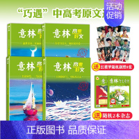 意林高票好文系列 4本 [正版]意林高票好文20周年名家妙笔一苇以航/逐梦青春星海征程/许岁月长久愿时光厚爱/人间烟火气