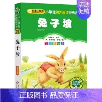 [兔子坡]彩图注音版 [正版]4本24元兔子坡彩图注音版一年级二年级三年级上册下童话文学老师图书本小学生课外阅读书籍少儿