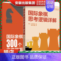 [正版]精装两本套装国际象棋思考逻辑详解(精装)+国际象棋300个重要局面 国际象棋战略战术 形势判断局面构思 辽宁科